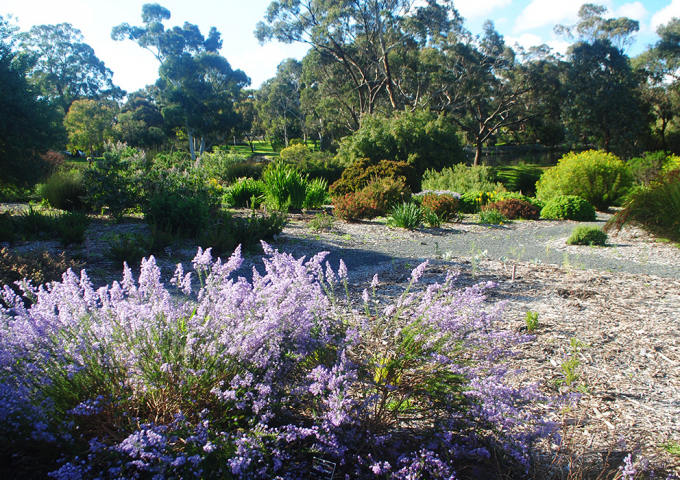 Wittunga Botanic Garden