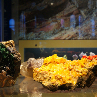 Australian Fossil and Mineral Museum