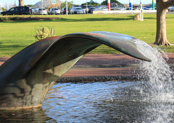 South Australian Whale Centre