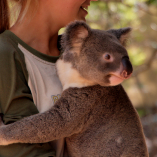 Billabong Sanctuary