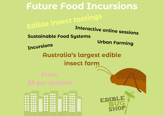 Edible Insects: Future food incursions