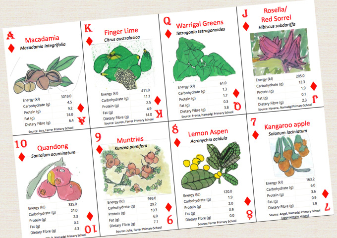 Nutritional Information Playing Cards