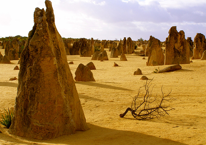 National Science Week 2024 Grants in WA