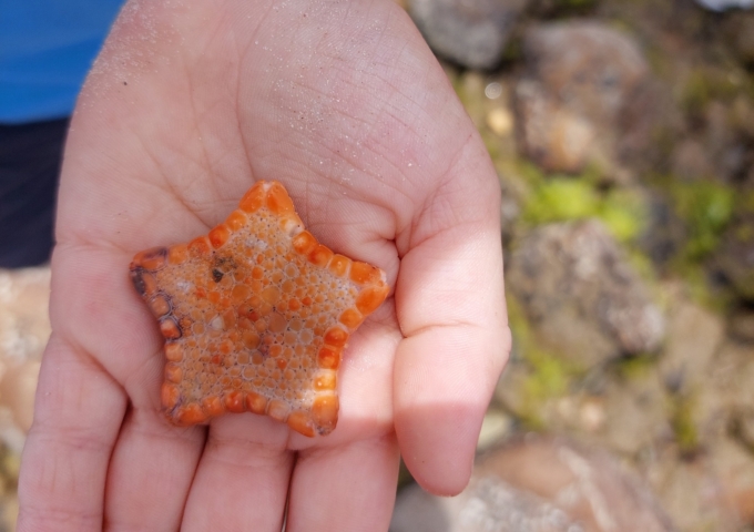 South Australia State Grant Recipients for National Science Week 2024